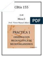 Practica 1 de Observacion Microscopica..