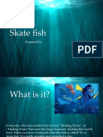 Presentation Abou Skate Fish