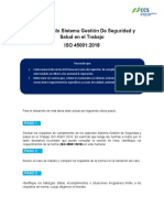 DT_112_2020_TAREA ISO 45001 (2)