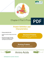 Chapter 2 Part 3 Proteins