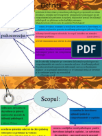 Psihocorecție Schematizarea Temelor