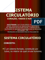 Sistema Circulatório