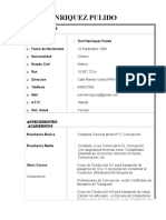 Curriculum Vitae Como Realizar