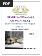 KENDRIYA VIDYALAYA Biology Investigatory Project