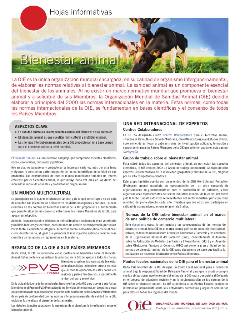 Introducción Al Bienestar Animal OIE | PDF | Bienestar de los animales ...