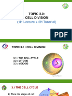 Chapter 3 Cell Division SB015