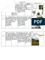 Cuadro Comparativo