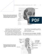 Ortodoncia Bishara 644 Pag-27