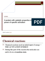 Enzyme (Biology)