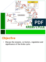 Krebs Cycle: CHEM 160