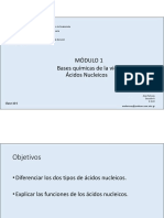 10 - Módulo 1 - Ácidos Nucleicos