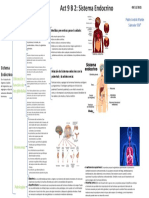 Act 9 B 2 Sistema Endocrino