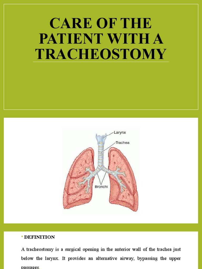 Tracheostomy Care: Procedures and Guidelines | PDF | Respiratory Tract ...