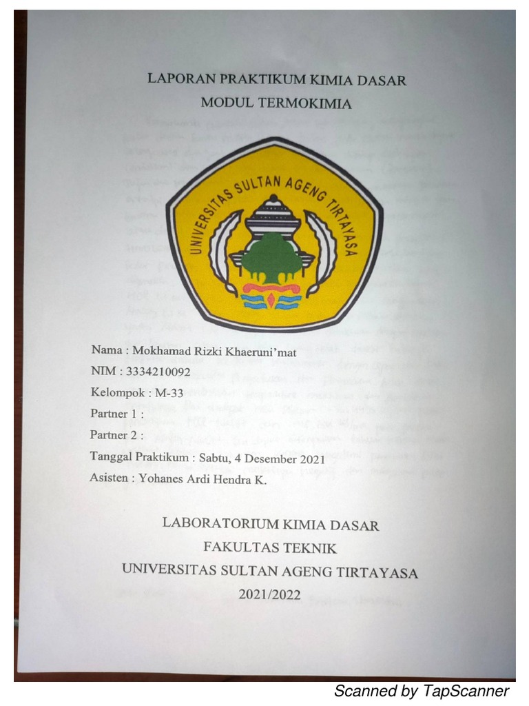 Laporan Praktikum Termokimia | PDF