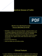 Gastrointestinal Diseases of Cattle