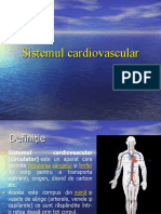 sistemul cardiovascular