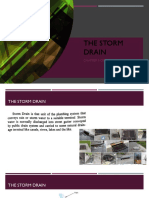 The Storm Drain: Chapter 9 of RNPC