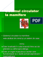 9 P Q Ppt Sistemul Circulator La Mamifere