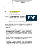 Informe Sst-Octubre