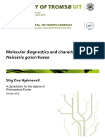 Molecular Diagnostics and Charcterization of Gonnorhoeae