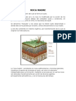 Roca madre: sustrato mineral para la formación del suelo