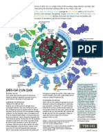 Sarscov2 Genome Prots