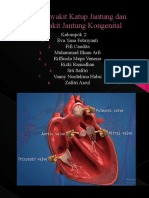 Heart Valve and Congenital Heart Disease Document