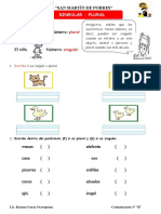 Singular y Plural