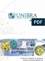 Introdução à Bacteriologia: Estruturas Celulares e Morfologia