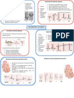 Exploracion Cardiovascular I