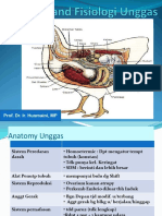 2a. Anatomy Dan Fisiologi Unggas - 22