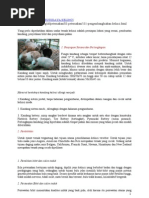 Download Pedoman Teknis Budidaya Kelinci it by Bulu Kucing SN56297118 doc pdf