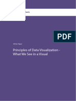 Principles of Data Visualization - What We See in a Visual