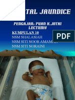 Neonatal Jaundice