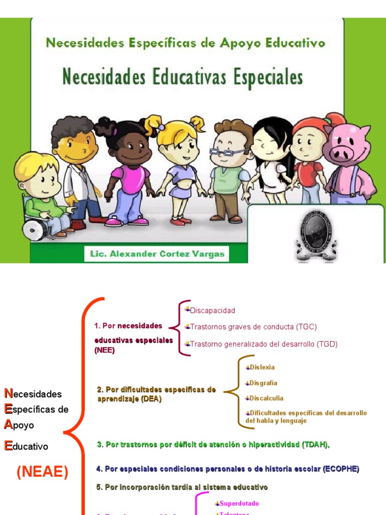 Clase Neae Nee 2010 | PDF | Desorden hiperactivo y deficit de atencion ...