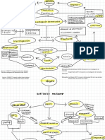 mapa 2- clientes en el mercado