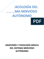 Sistema nervioso autónomo: anatomía y fisiología