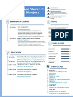 CV Steven Pastor Hinojosa