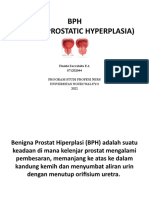 BPH (Benign Prostatic Hyperplasia)