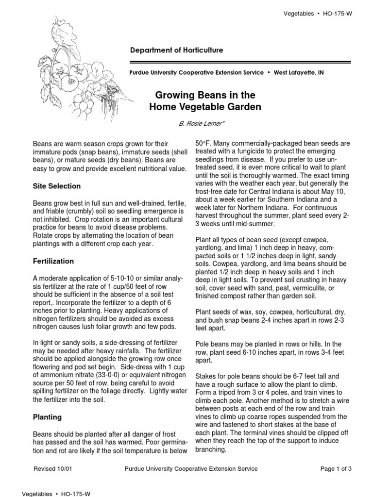 Growing Beans in Home Gardens | PDF | Home & Garden