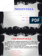 CHEMOSINTEZA