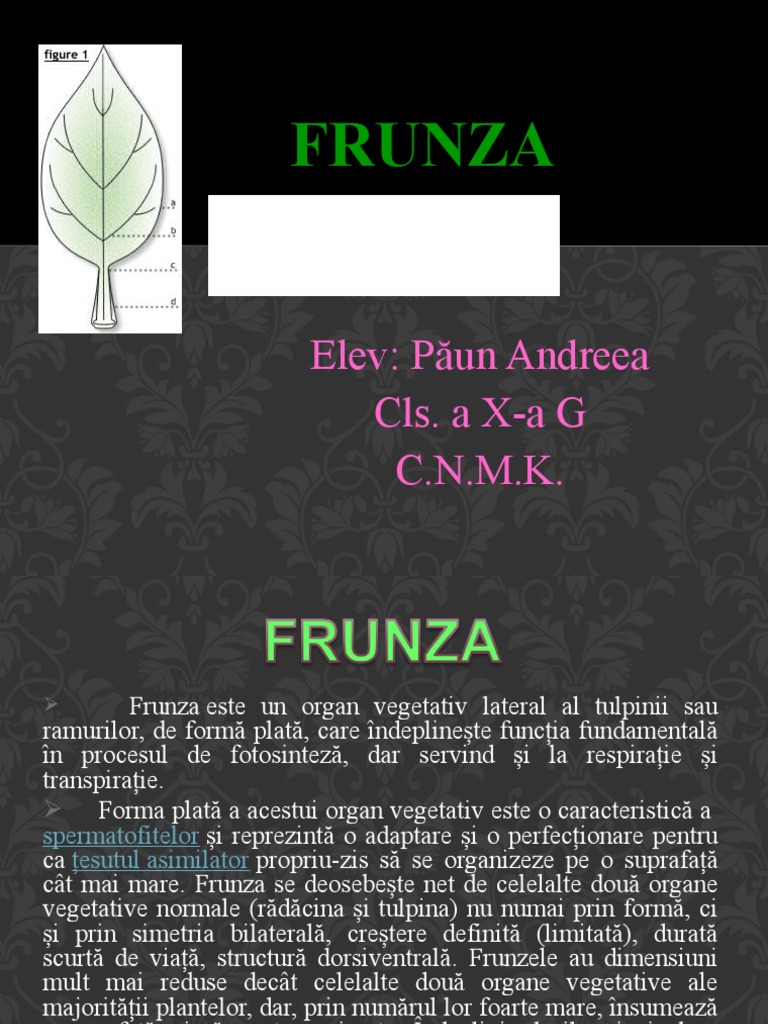 Frunza | PDF
