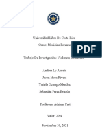 Trabajo de Investigación Grupal Violencia Doméstica