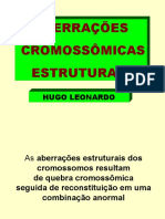 ABERRAÇÕES CROMOSSÓMICAS