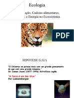 3936619-Biologia-PPT-Ecologia-Cadeia-Alimentar-Hipotese-Gaia (2)