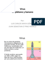 Virus en Platano y Banano