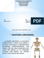 Traumatismo Toraco-Abdominal (Autoguardado)