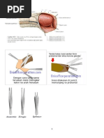 Download sirkumsisi by Barga Rizky SN56301054 doc pdf