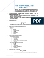 Preguntas-Experiencias en Similitud Física