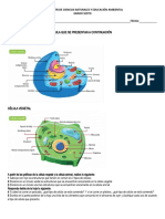 ORGANELOS CELULARES_EVALUACIÓN DE CIENCIAS NATURALES Y EDUCACIÓN AMBIENTAL